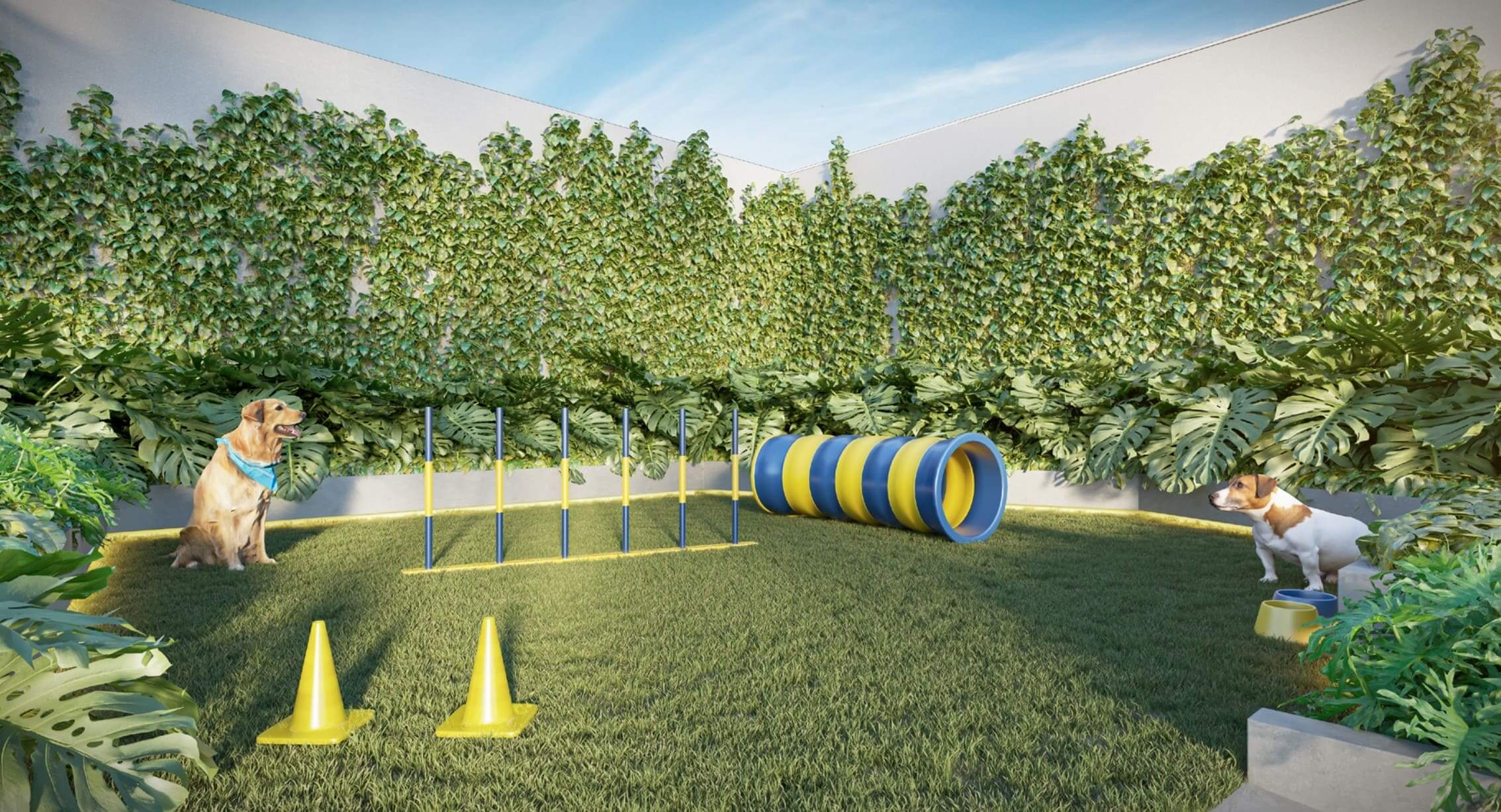 <p>Pet Area</p>
